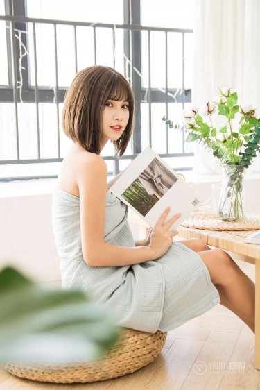 四大文学体裁